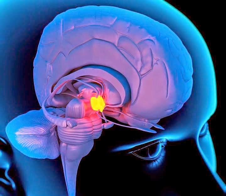 dmt enhance , ayahuasca retreat