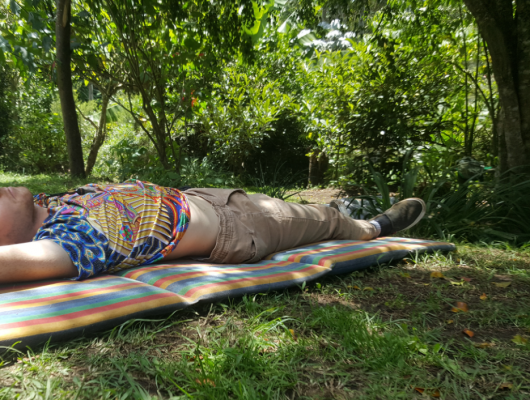 the trip ayahuasca ceremony