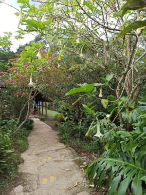 the entrance to the ayahuasca retreat