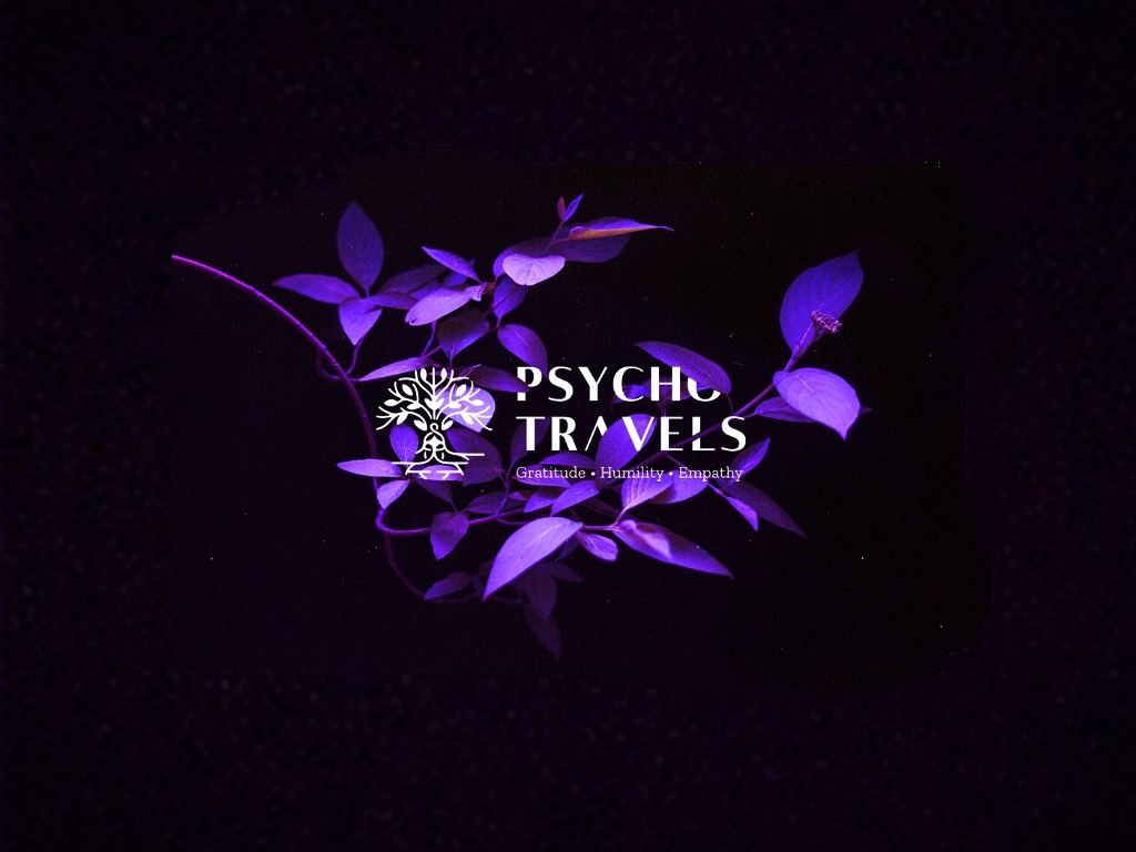 Authentic Ayahuasca Retreat in Colombia psychotravels